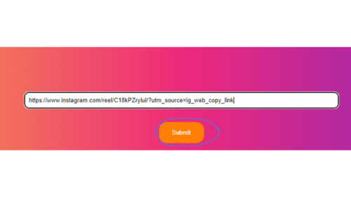 Paste the Instagram URL in the Input Box and Press/Click the Submit Button