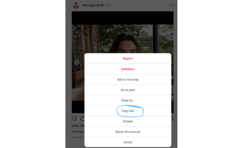 Copy the Instagram Posts/Videos URL that might includes single photo and video, multiple photos and videos, or Post that comines both photos and videos.