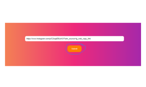 Paste the Posts/Videos Instagram URL in the Input Box and Press/Click the Submit Button