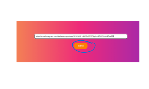 Paste the Story Instagram URL in the Input Box and Press/Click the Submit Button
